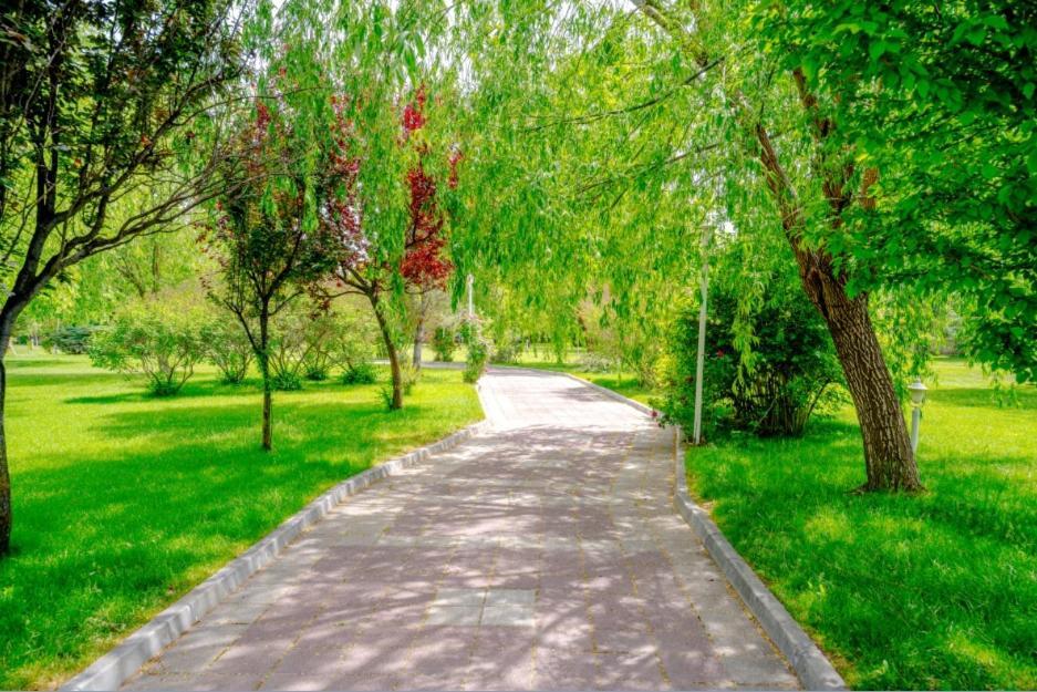 Korel Thermal Resort Afyonkarahisar エクステリア 写真