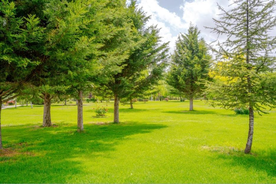 Korel Thermal Resort Afyonkarahisar エクステリア 写真